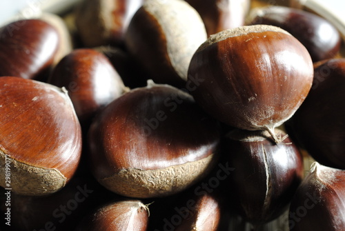 クリ 茶色 ナッツ 食べ物 秋 クリ フルーツ ナッツ 自然 ナチュラル Stock Photo Adobe Stock クリ 茶色 ナッツ 食べ物 秋 クリ フルーツ ナッツ 自然 ナチュラル Stock Photo Adobe Stock