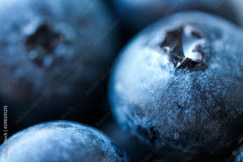 Background with fresh blueberries closeup. Blueberry macro photography. Organic berries of bright blue color. Template for banner, menu, food label, organic shop. Healthy eating. Blurred background Background with fresh blueberries closeup. Blueberry macro photography. Organic berries of bright blue color. Template for banner, menu, food label, organic shop. Healthy eating. Blurred background