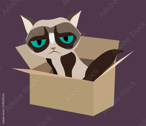 Upset unhappy cute cat in the box. Vector illustration flat simple modern design in art Nouveau style. Serious, gloomy cat cartoon pattern.