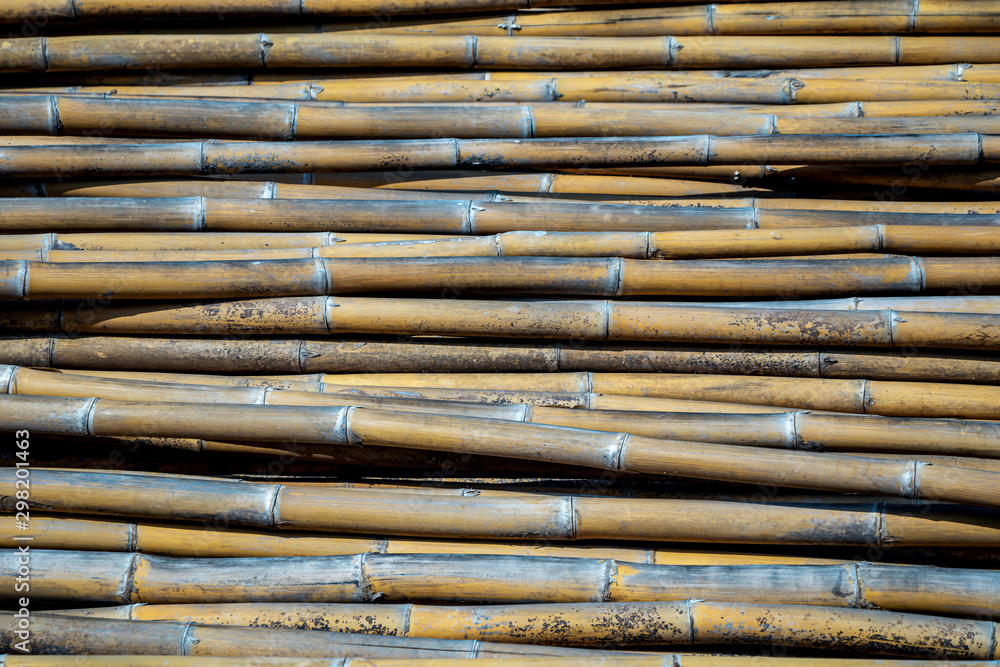 Group of bamboos background.Pile of bamboo pole texture with natural pattern. Group of bamboos background.Pile of bamboo pole texture with natural pattern.