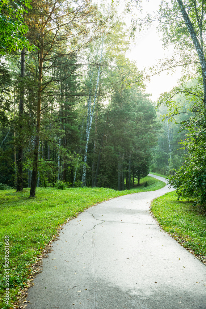 Curved asphalt road in the park with green grass and trees Curved asphalt road in the park with green grass and trees