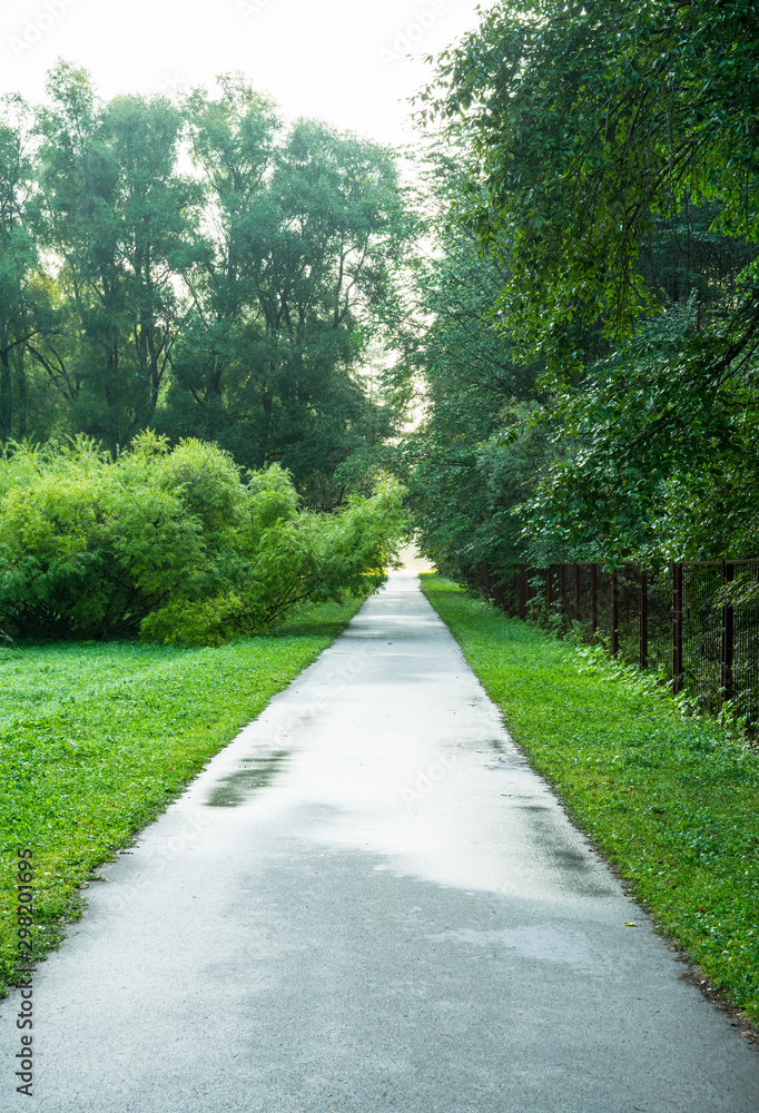 Curved asphalt road in the park with green grass and trees