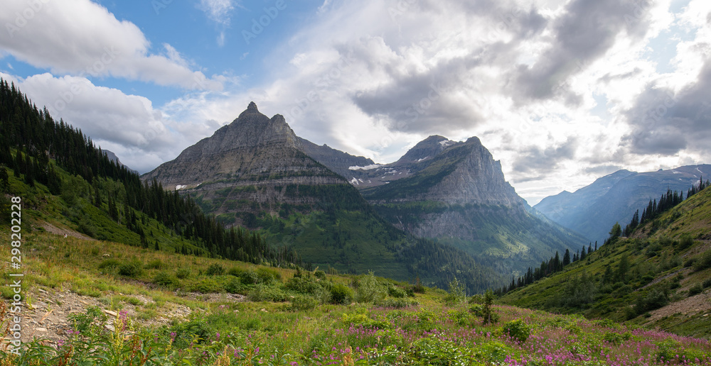 Landscape of the Glacier National Park, Going to the sun road.