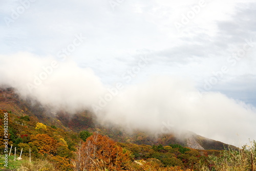 Niigata,Japan-October 22, 2019: Beautiful Autumn leaves at Hakuundai of Oosado skyline highway in Sado island, Niigata, Japan in early autumn