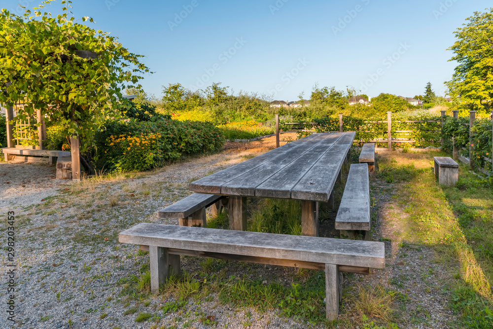 wooden table and benches dug in the ground, a porch covered with grape plants