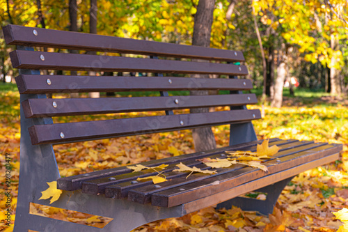 Autumn yellow leaves lie on a brown wooden park bench. Fall foliage in the city. October