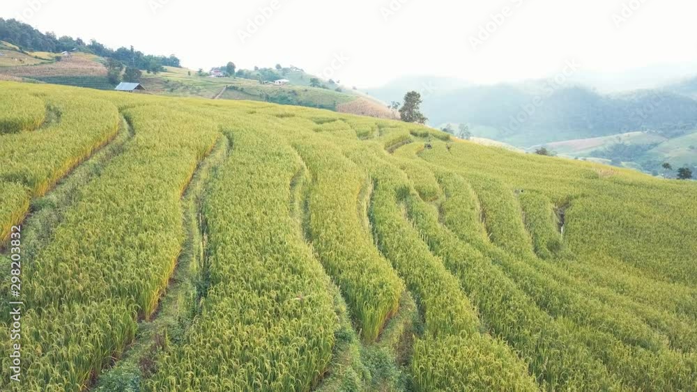 Rice terrace fields or Ladder rice field in aerial view at Pabongpeang , Maejam Village , Chaingmai Province of Thailand 