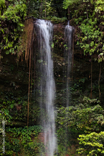 River and waterfall in Lambir  Borneo  Malaysia