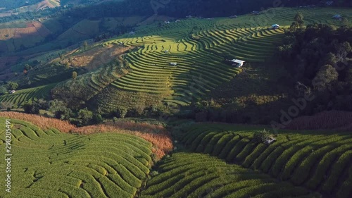 Rice terrace fields or Ladder rice field in aerial view at Pabongpeang , Maejam Village , Chaingmai Province of Thailand  photo