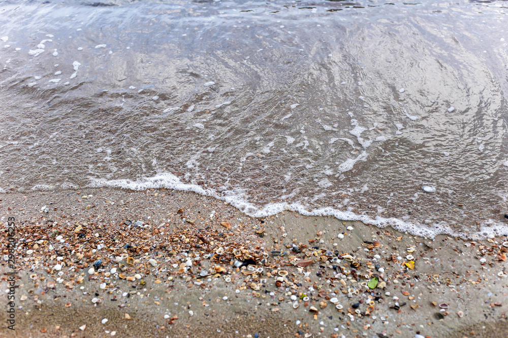 seashell on the sandy beach with ocean tidal waves breaking on a sand beach splashing seashell on the sandy beach with ocean tidal waves breaking on a sand beach splashing