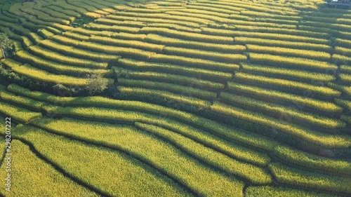 Rice terrace fields or Ladder rice field in aerial view at Pabongpeang , Maejam Village , Chaingmai Province of Thailand  photo