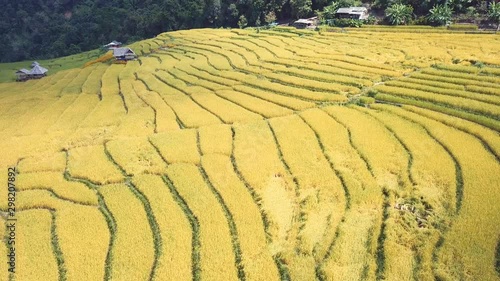 Rice terrace fields or Ladder rice field in aerial view at Pabongpeang , Maejam Village , Chaingmai Province of Thailand  photo