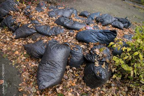 Black plastic bags with collected fallen yellow leaves in a city park in the fall. Cleaning fallen leaves in the autumn park in bags. Caring for the city and the environment.
