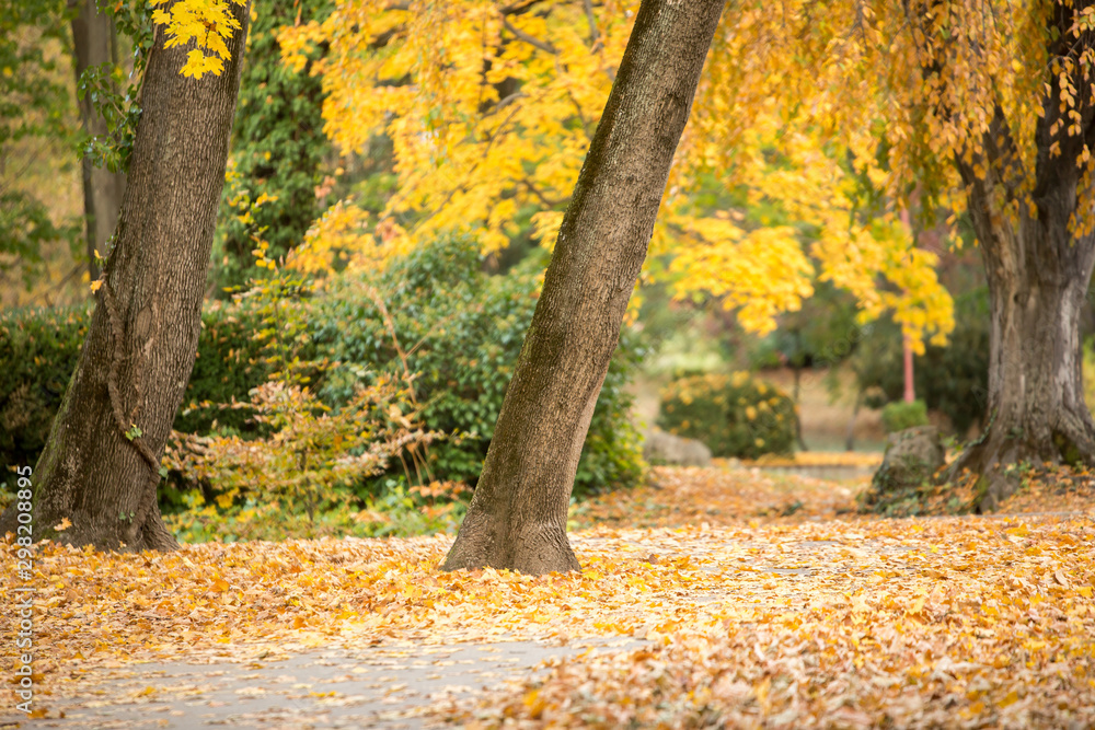 Beautiful colorful park in autumn. City Levice, Slovakia. Beautiful colorful park in autumn. City Levice, Slovakia.