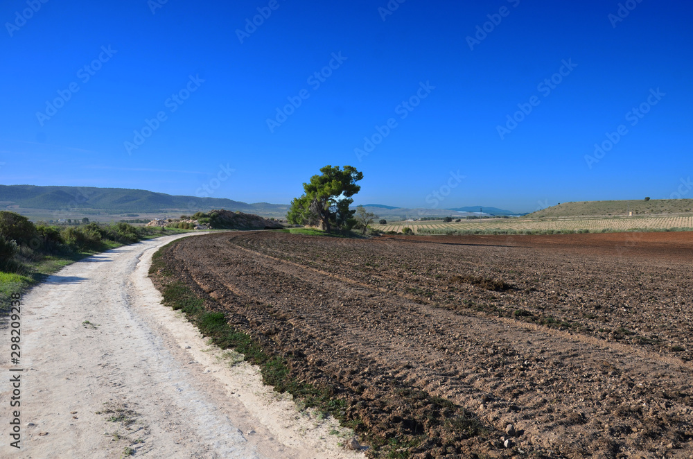 Naklejka premium road in the desert