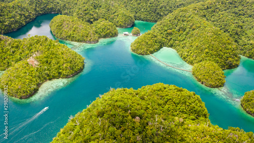 Fototapeta Naklejka Na Ścianę i Meble -  Cove and blue lagoon among small islands covered with rainforest. Sugba lagoon, Siargao, Philippines. Aerial view of Sugba lagoon, Siargao,Philippines.