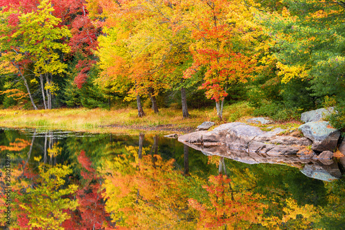 Fall foliage colors reflected in still lake water on a beautiful autumn day in New England