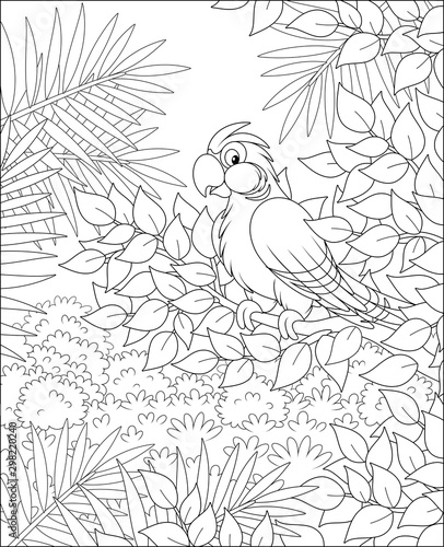 Funny tropical parrot perched on a tree branch in tropical jungle, black and white vector illustrations in a cartoon style for a coloring book