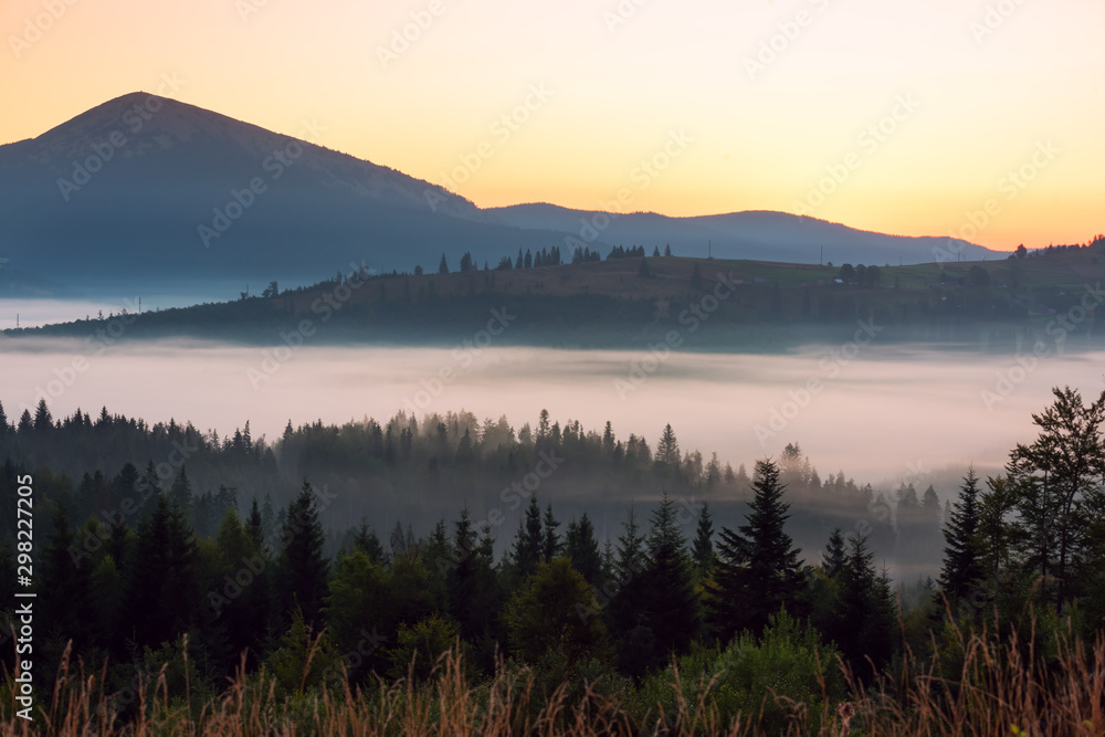 Fir tree on the hillsides in the fog at dawn and a small little horse among the mountains at dawn. An idealistic morning picture in the mountains. Vintage style photo.