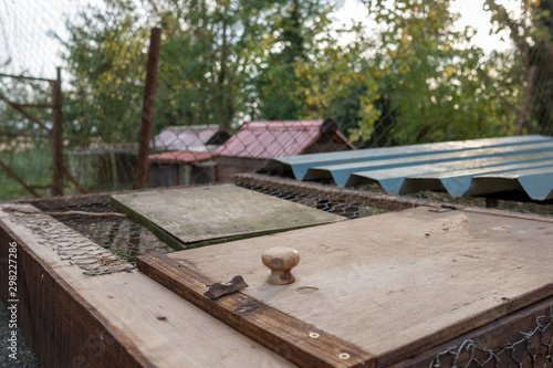 Young white chickens seen in a makeshift, home-made chicken house set in a rural location. Various home-made timber built chicken houses can be seen.