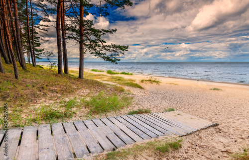 Fototapeta Naklejka Na Ścianę i Meble -  Pine forest, wooden footpath and a sandy beach of the Baltic Sea, concept of ecologically clean tourism and protection of climate of our planet