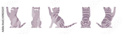 Grey striped Cat playing. Active healthy kitten with mackerel tabby colored fur, cute funny pet, playful companion. Vector flat style cartoon illustration isolated, white background, different views