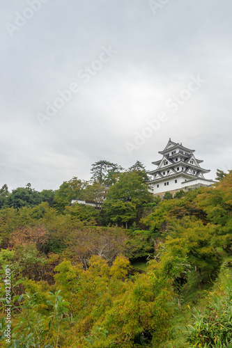 郡上八幡城 岐阜県郡上市 Gujo Hachiman Castle Gifu Gujo city © M・H
