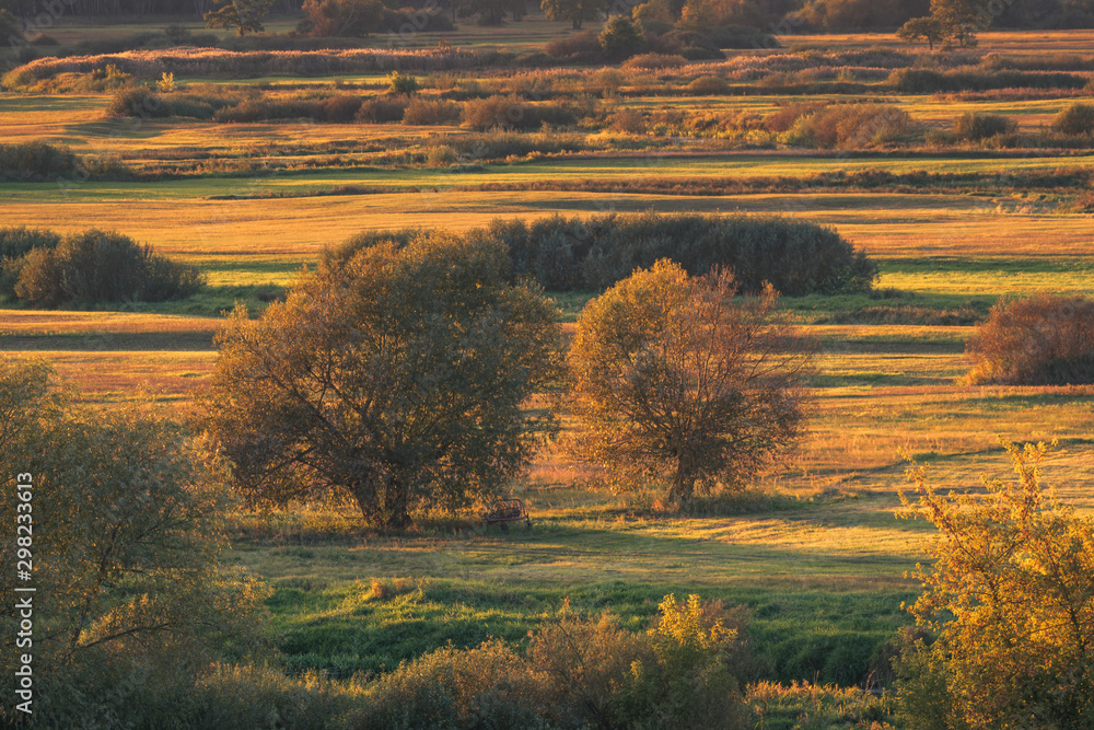 Fototapeta premium View from Gora Strekowa on the fields and trees at autumn, Podlaskie, Poland