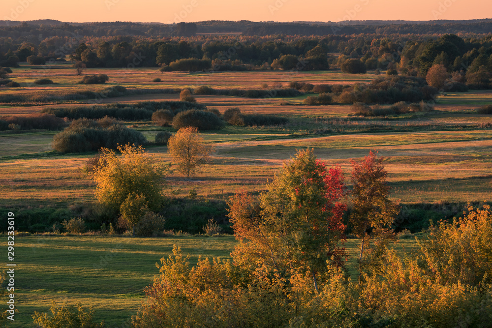 View from Gora Strekowa on the fields and trees at autumn, Podlaskie, Poland