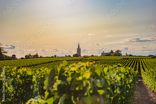 Le vignoble de Saint Emilion en automne photo