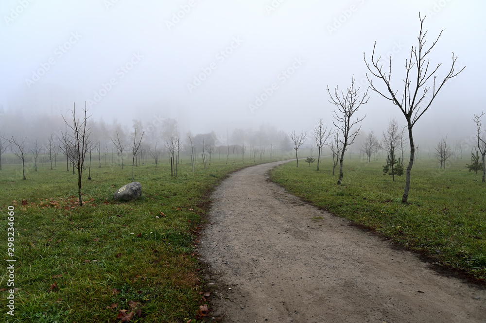 Photo of autumnal nature in the fog. Cloudy weather, boring mood. Photo of autumnal nature in the fog. Cloudy weather, boring mood.