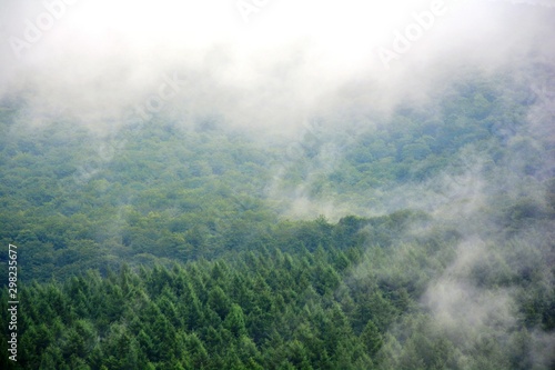 one foggy day in the mountains