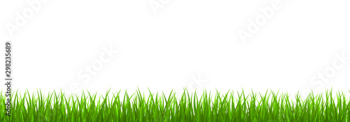 Fresh green grass border