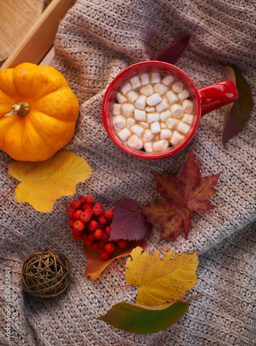 Fototapeta Naklejka Na Ścianę i Meble -  Red mug with cocoa and marshmallows. Autumn mood, warming drink. Cozy atmosphere
