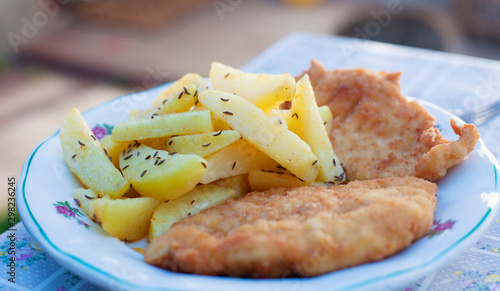 Wiener Schnitzel with French Fries.