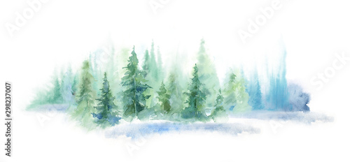 Green landscape of foggy fo...