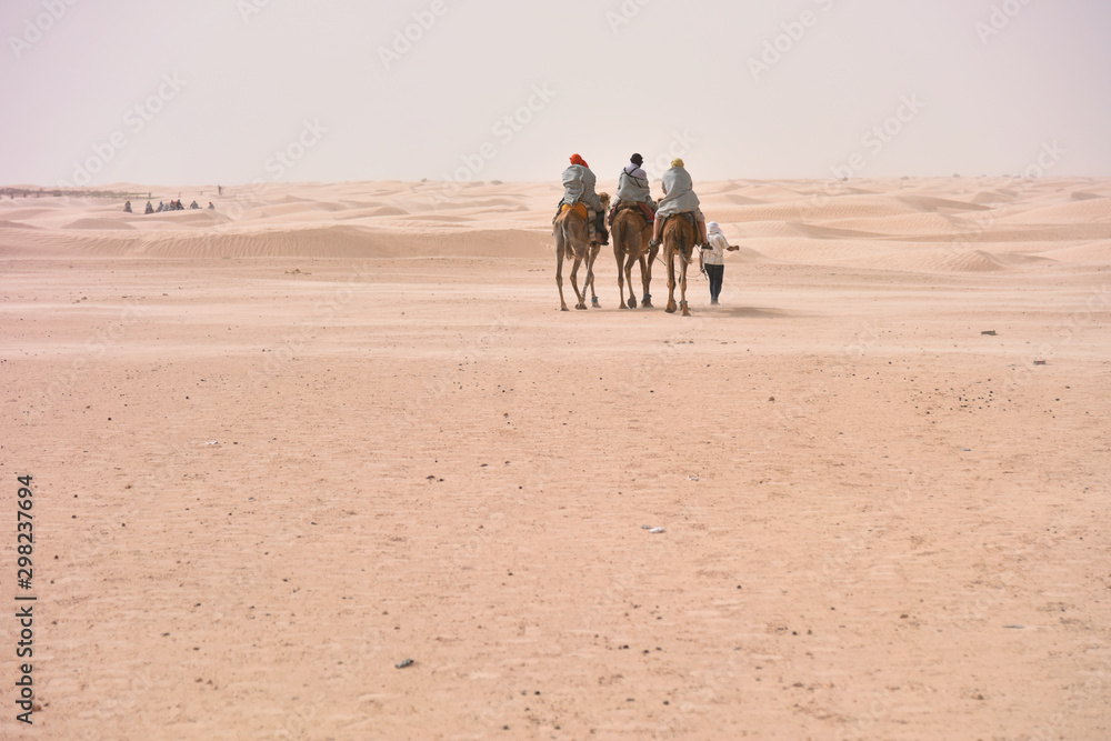 Bedouins in traditional clothes riding camels in sahara desert, Tunis.