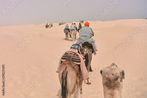 Bedouins in traditional clothes riding camels in sahara desert  Tunis.