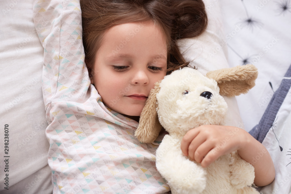 Indoor shot of beautiful European girl with dark hair in light pajamas lying in bed with her soft white dog toy, charming cute female kid relaxing at home in morning, dark haired child in cot.