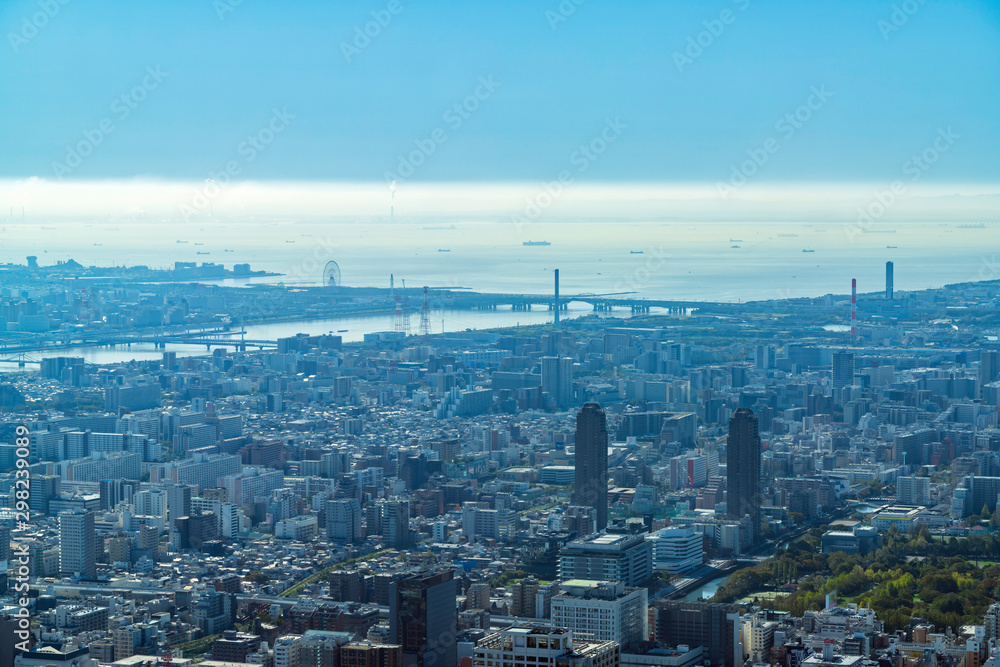 Naklejka premium 東京スカイツリーから見る街並み 葛西臨海公園方面