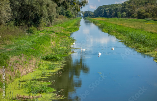 Einserkanal near Bridge at Andau photo