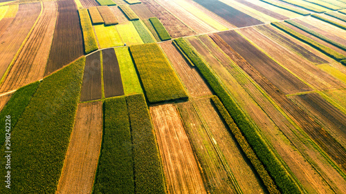 Colorful Farm Fields with Crop. Abstract Patterns. Aerial Drone view