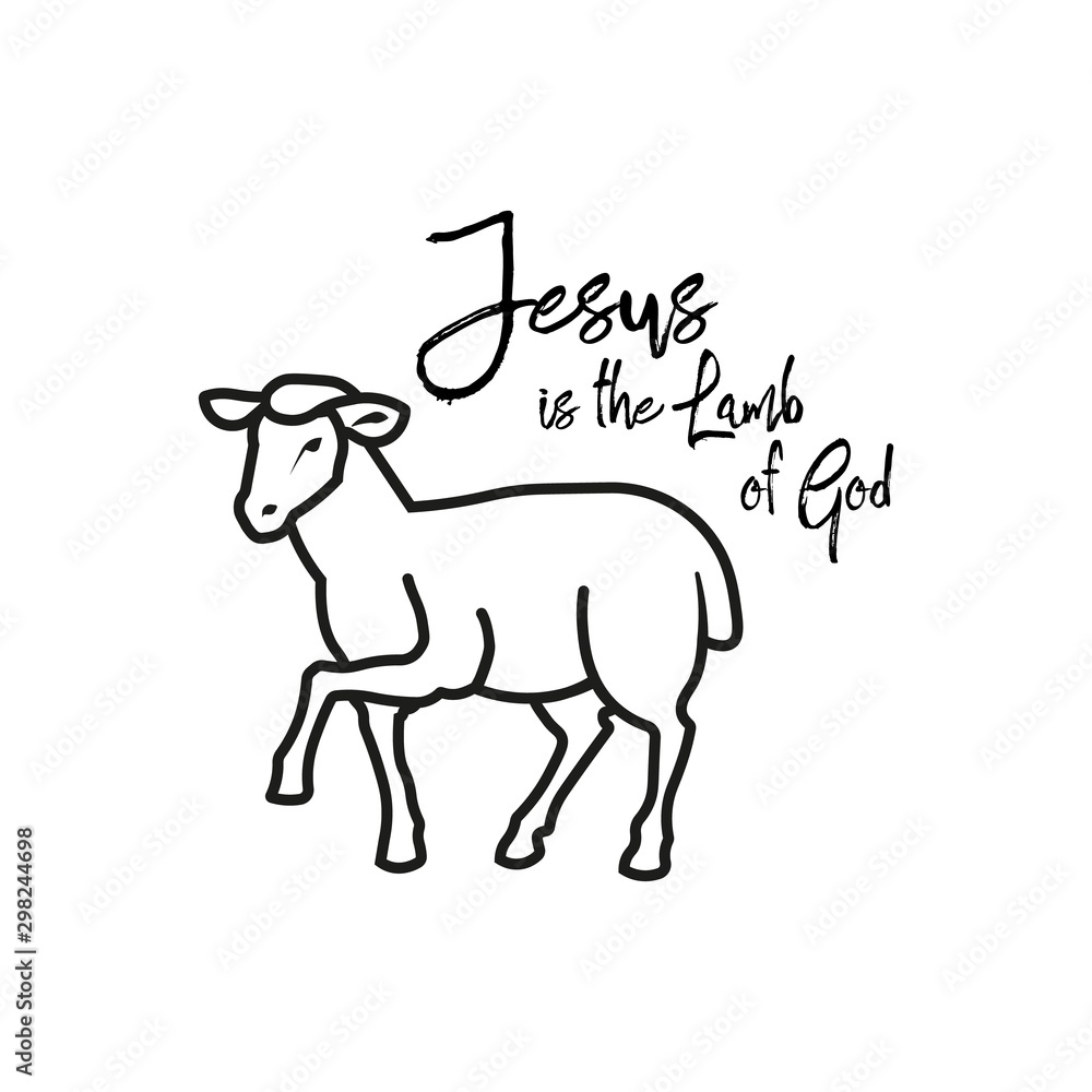 Vector lamb outline icon, sheep icon. Isolated lamb label Vector lamb outline icon, sheep icon. Isolated lamb label