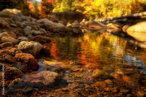 River flowing among the stones in the autumn forest. Mirror reflection in the water of colorful autumn trees. Sunny autumn day in the national park. USA. New Hampshire National park.