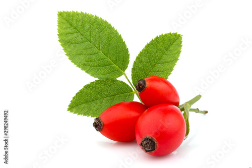 Dog Rose; wild rose; Rosa canina berries with leaf isolated.