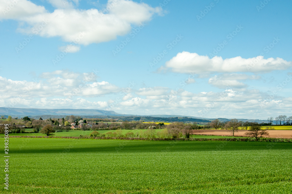 Springtime landscape in the Herefordshire countryside of England
