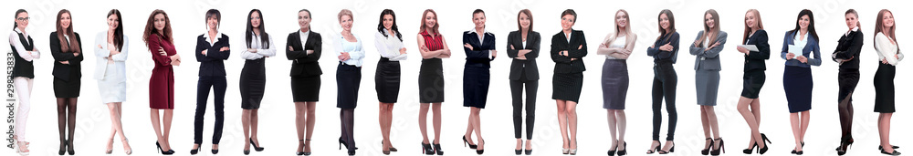 group of successful young businesswoman standing in a row - obrazy, fototapety, plakaty 