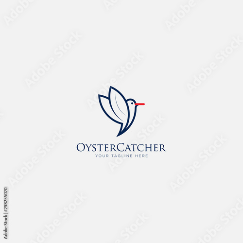 flying bird line art, oyster catchers bird logo