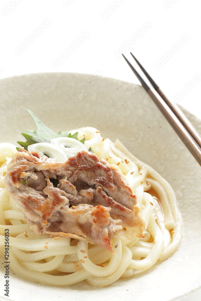 Japanese food, grilled pork and cold udon noodles Japanese food, grilled pork and cold udon noodles