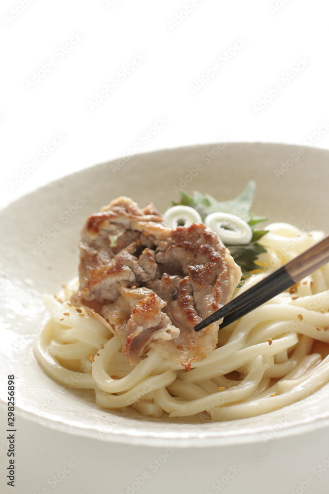 Japanese food, grilled pork and cold udon noodles Japanese food, grilled pork and cold udon noodles